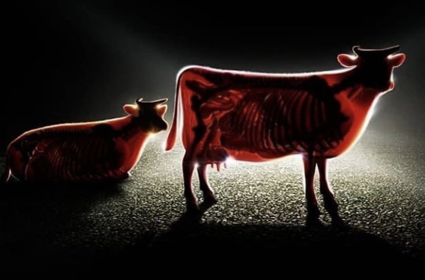 This is how Mercedes advertised their strong headlight.