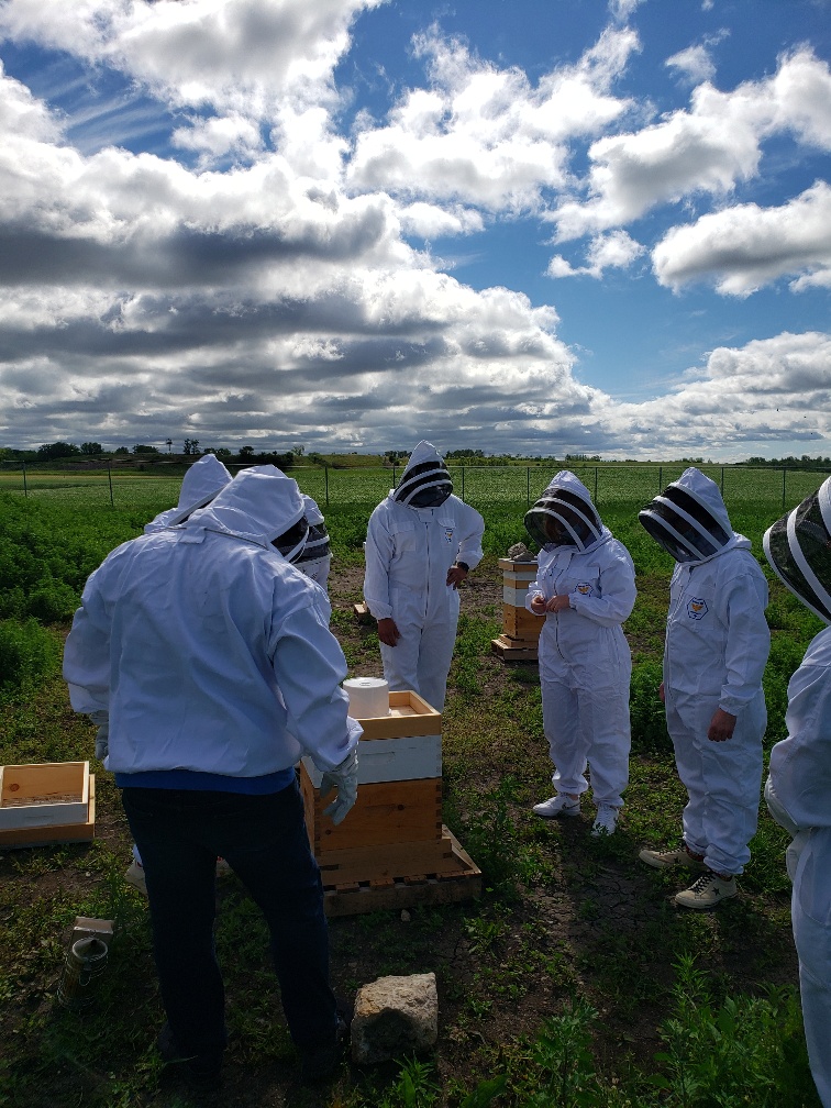 bonnefoy_robert's tweet photo. On Friday I went to see our bees....what an amazing initiative! It was very cool to hear the passion and ownership of the inmates working with them... https://t.co/hpwPXpqgST