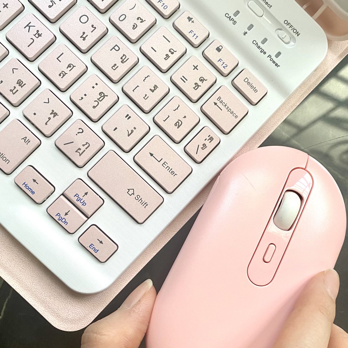 GailBlog's tweet photo. แกเอ้ยย รู้งี้มีนานแล้ว หมดนี่500 กว่าบาทครบทั้งเคส+Keyboard+เม้าส์ เชื่อม iPad ได้จริง ใช้งานแบบไม่มีสะดุดอ่ะ keyboard พิมพ์ไทยได้ เม้าส์ไม่ช้านะเลื่อนเรียลไทม์ ทำงานสะดวกขึ้นเยอะม๊ากกกก ดีๆๆแบบ 10/10 ไม่หัก ร้านนี้มีหลายสีด้วย #ใช้ดีบอกต่อ https://t.co/ZdqBnAnAU7