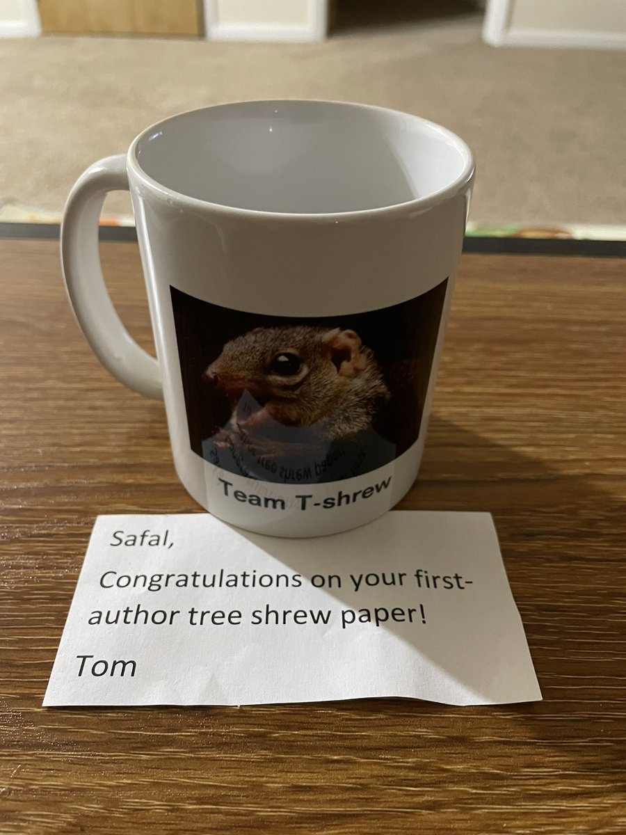 The tea/coffee is going to taste so much sweeter thanks to Dr. Thomas Norton!