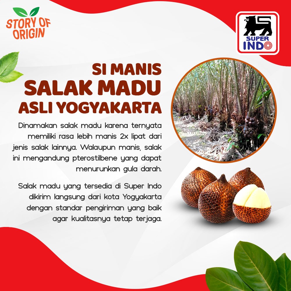 InfoSuperIndo's tweet photo. Buibuu ngga perlu jauh-jauh pergi ke Yogyakarta karena sekarang buah ini sudah tersedia di Super Indo dan kualitasnya tetap terjamin dengan baik.
Ada yang sudah makan salak madu hari ini?
#SuperIndo #SuperSegar #SuperHemat #SegarnyaHemat #StoryOfOrigin #SalakMadu https://t.co/hCQxe03Deq