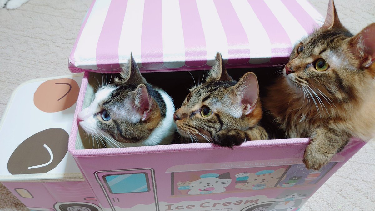 アイス食べたい😋🍨