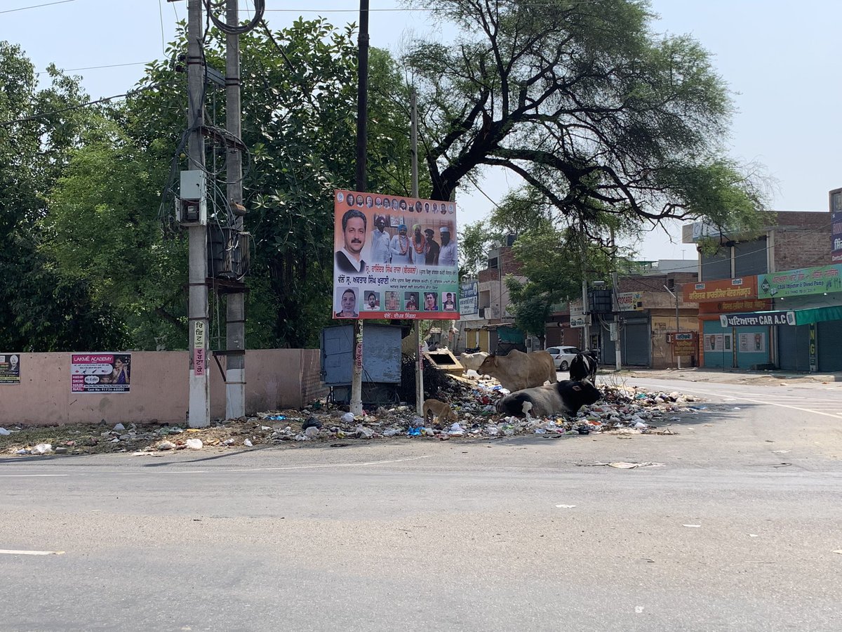 theflagwavers's tweet photo. We feel ashamed to share these pictures of #Sangrur 
How many days more city will have to suffer?
@VijayIndrSingla @SAD_SANGRUR 
Cc @capt_amarinder https://t.co/taRSl4Pb7X