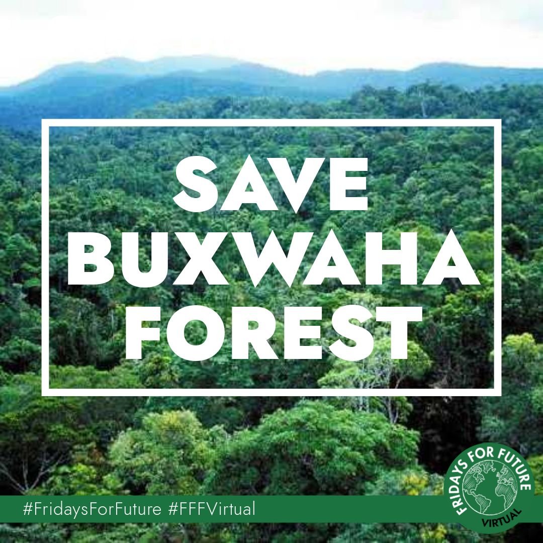 Save Buxwaha Forest