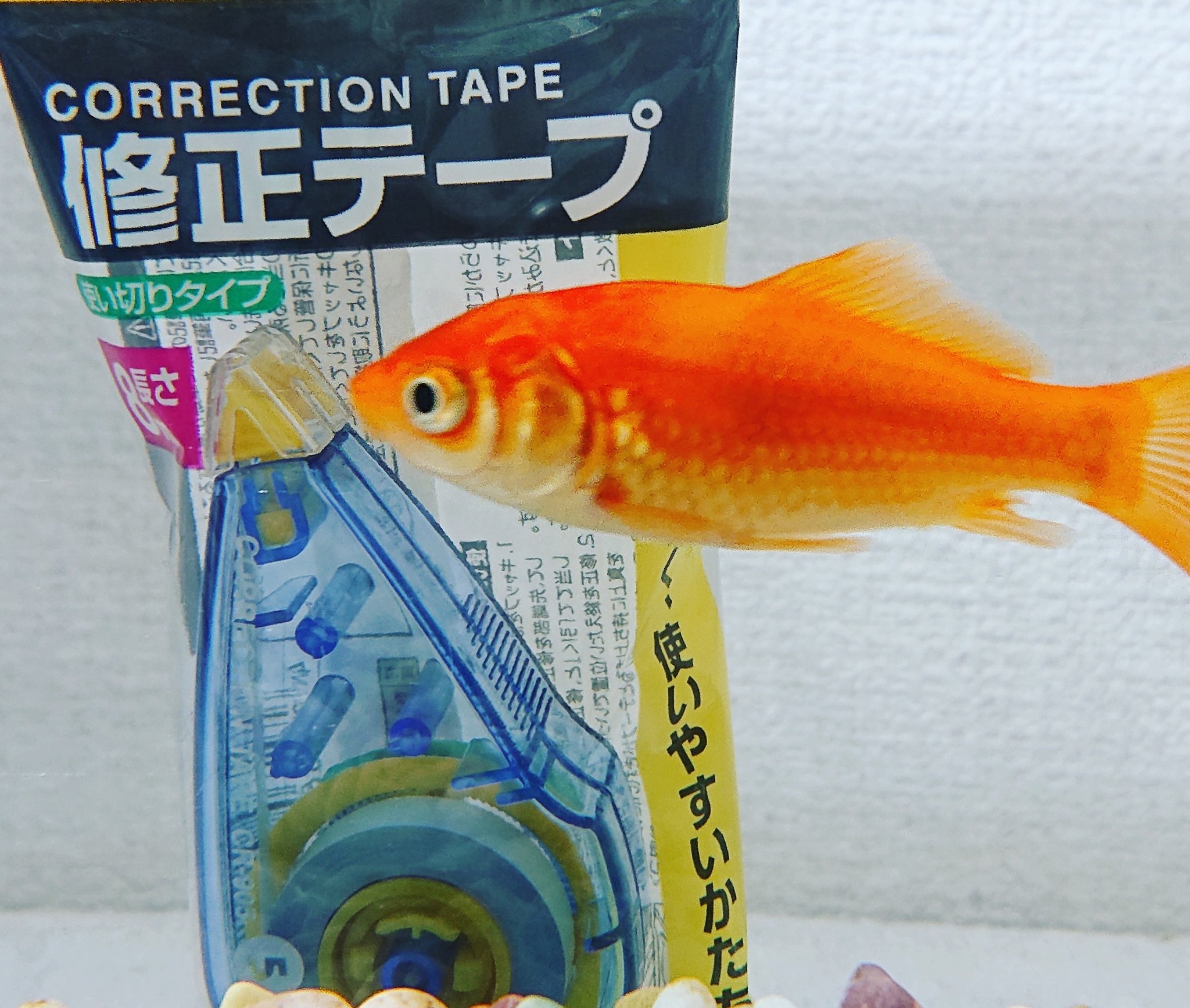 修正液 Twitter Search Twitter
