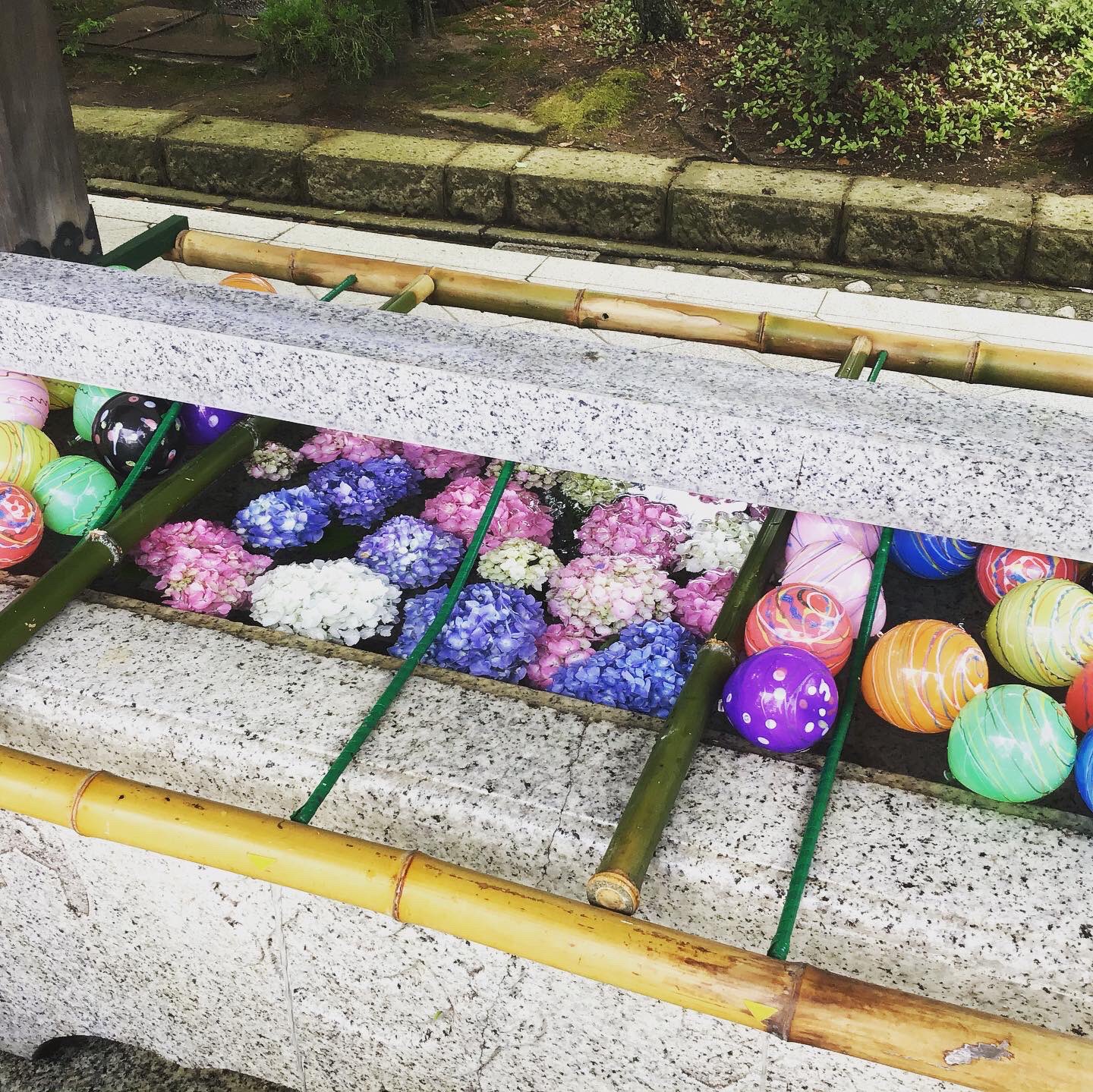 竹駒神社 今月の花手水です 竹駒神社 今月の花手水です