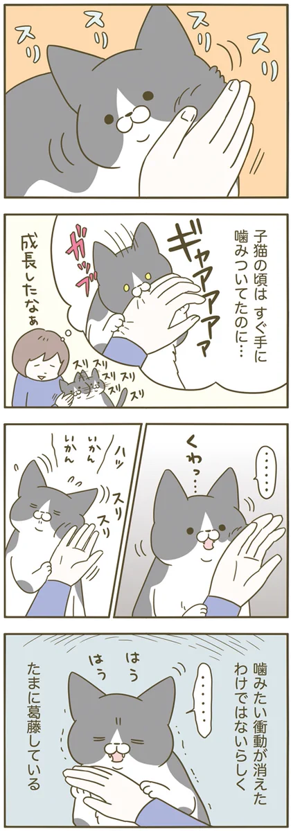 ときどき噛みたくなるけれど、それをぐっと我慢･･･！そんな猫の葛藤を描いた漫画が話題に！