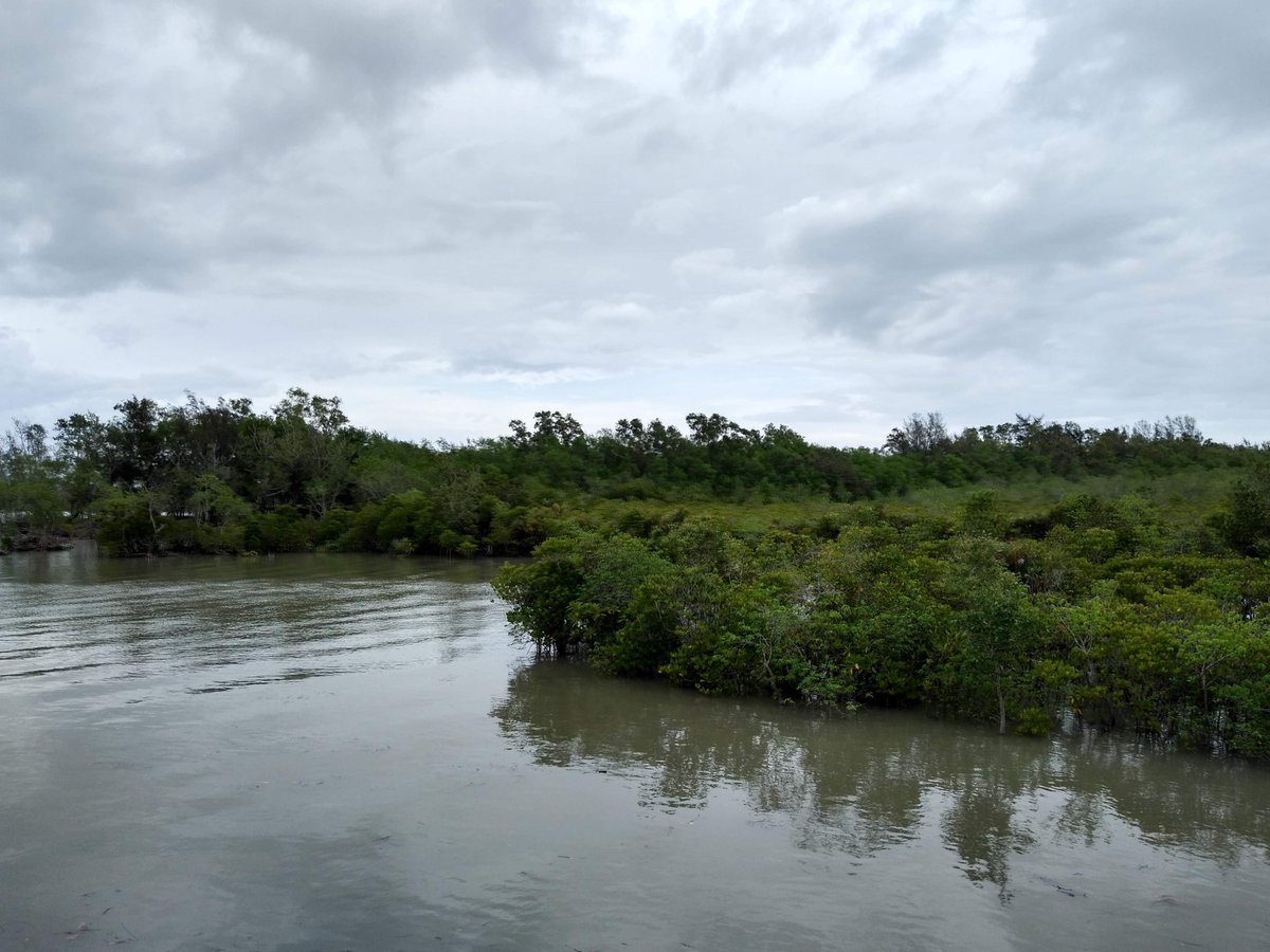 BhadPunyasloke's tweet photo. Engaging fisherfolk communities of Sundarbans for rescue and rehabilitation of horseshoe crabs entangled in ghost nets #InternationalHorseshoeCrabDay. Thank you WTI for supporting this initiative through #RapidActionProject @wti_org_india @vivek4wild @IUCN @IUCN_Mangrove https://t.co/2O63wo2yOW