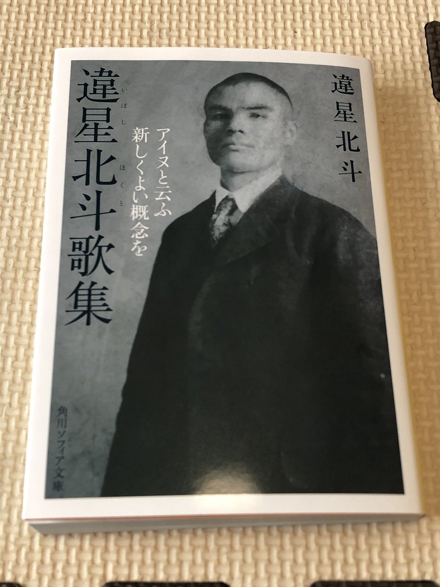 山科清春編・解説『違星北斗歌集　アイヌと云ふ新しくよい概念を』（角川ソフィア文庫2021）

