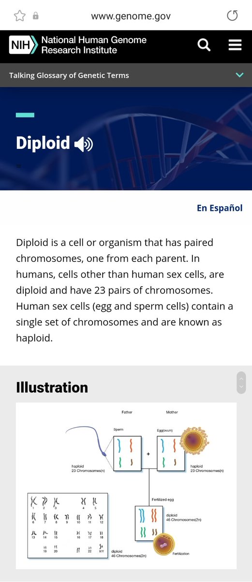 د. يوسف شمس الدين tweet media