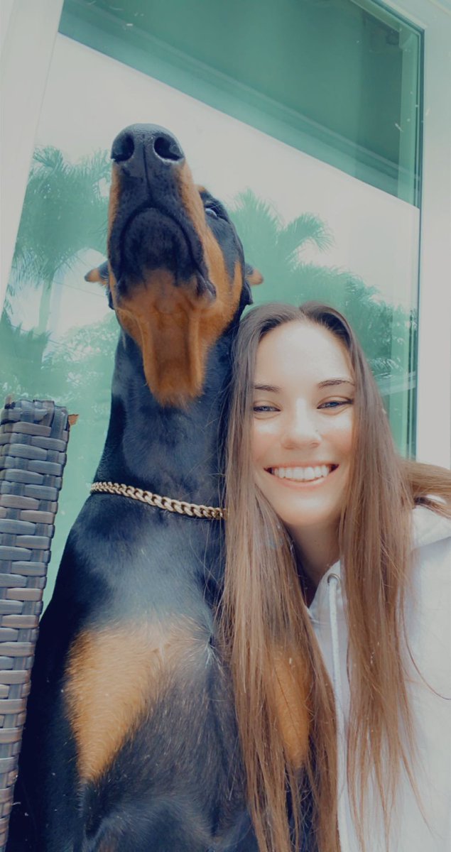 dannie_stith's tweet photo. that’s just my baby doggie ❤️ https://t.co/hZ8n2jhYFi