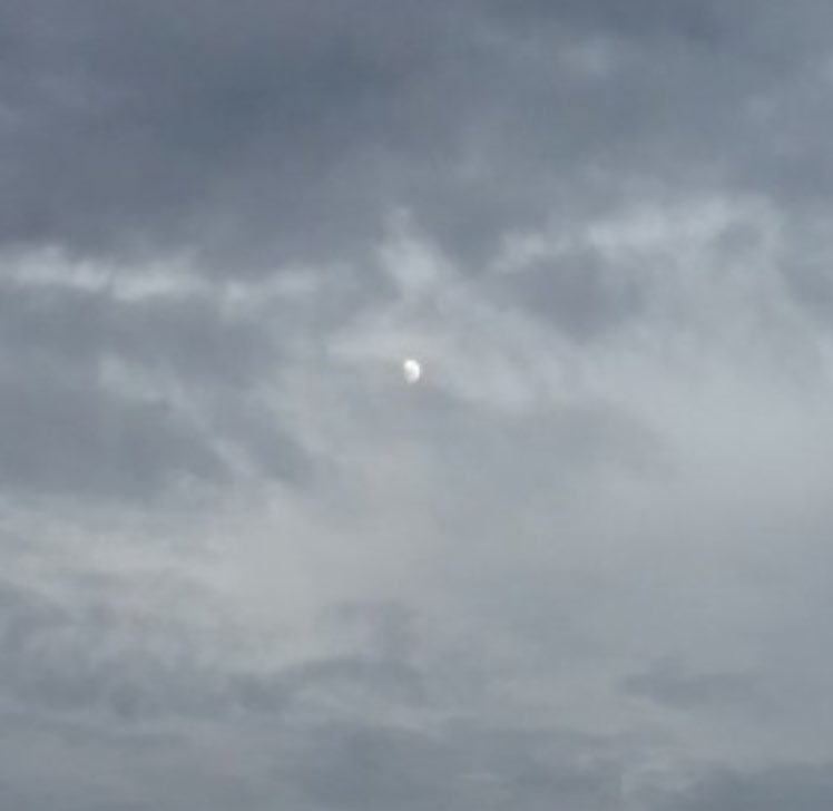 𝒎𝒐𝒐𝒅𝒆𝒍𝒊𝒄𝒂𝒕𝒆 tweet media