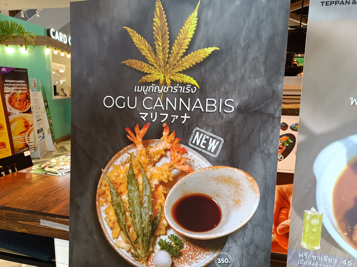 タイではマリファナ天ぷらやマリファナ刺身丼が楽しめるらしい 素朴な疑問として美味しいのか Togetter タイではマリファナ天ぷらやマリファナ刺身丼が楽しめるらしい 素朴な疑問として美味しいのか Togetter