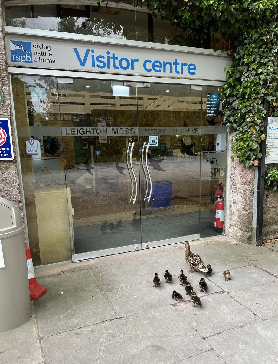 Queuing for the @RSPBLeightonM #visitorcentre and #cafe to open. @Natures_Voice @RSPBEngland #duckfamily