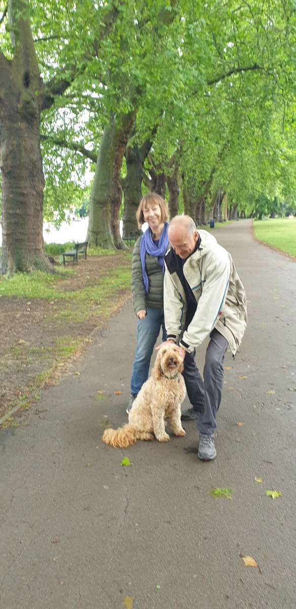 Robert Stern tweet media