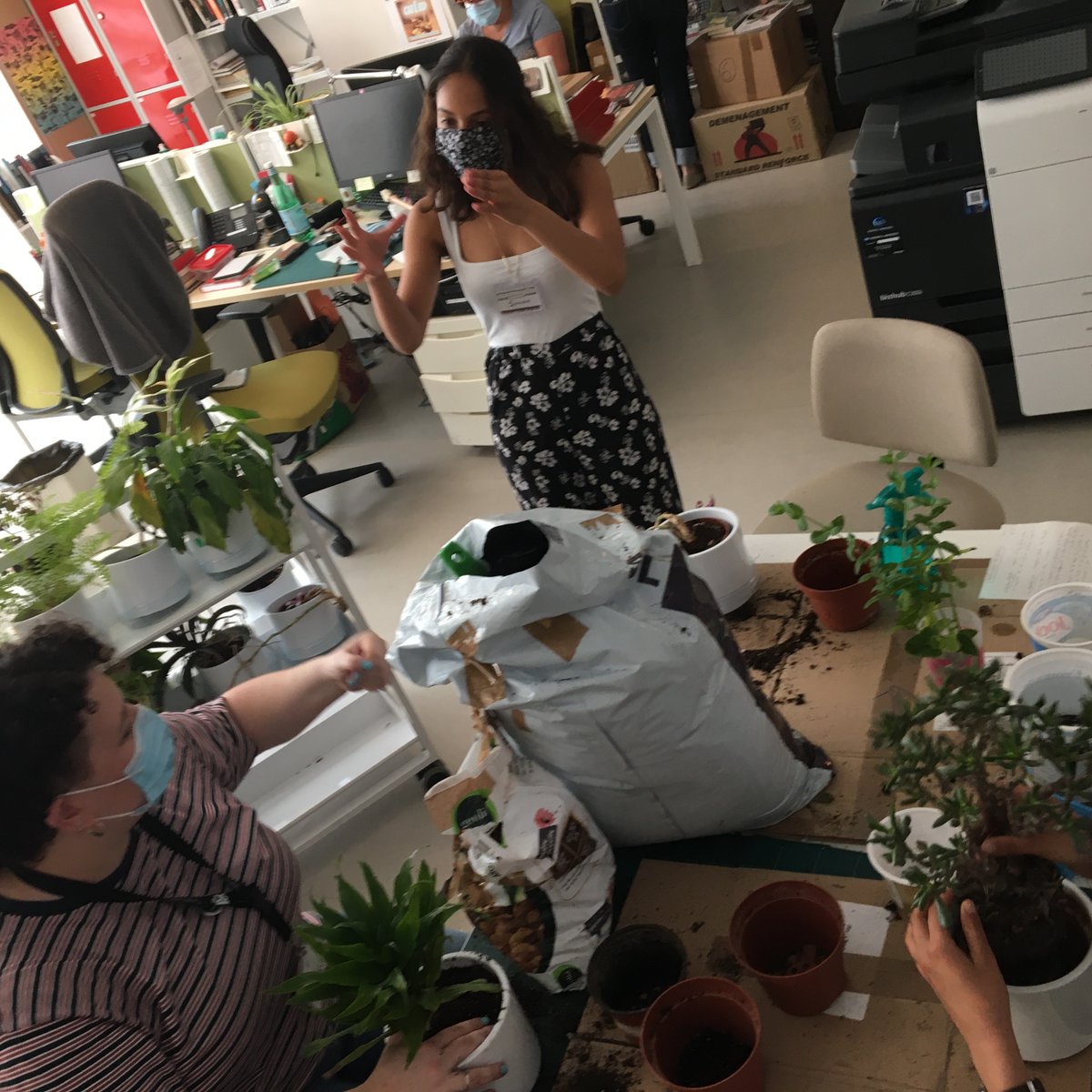 bibCanopee's tweet photo. Vaste chantier de rempotage dans les bureaux pour des plantes encore plus belles. 🌿☘️🌱 Un grand merci à l'équipe étudiante pour ce beau travail. 💚
#bibverte #vie2bib #libraylife https://t.co/rGWAZBGaeV
