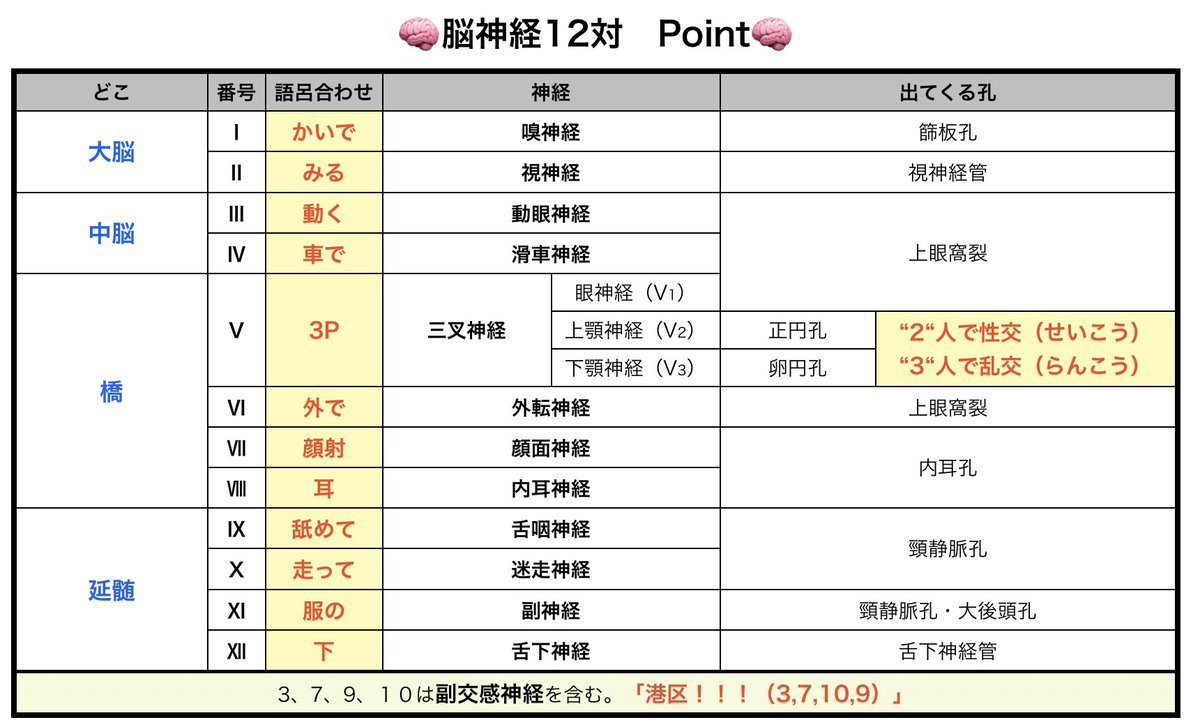 脳神経 覚え 方