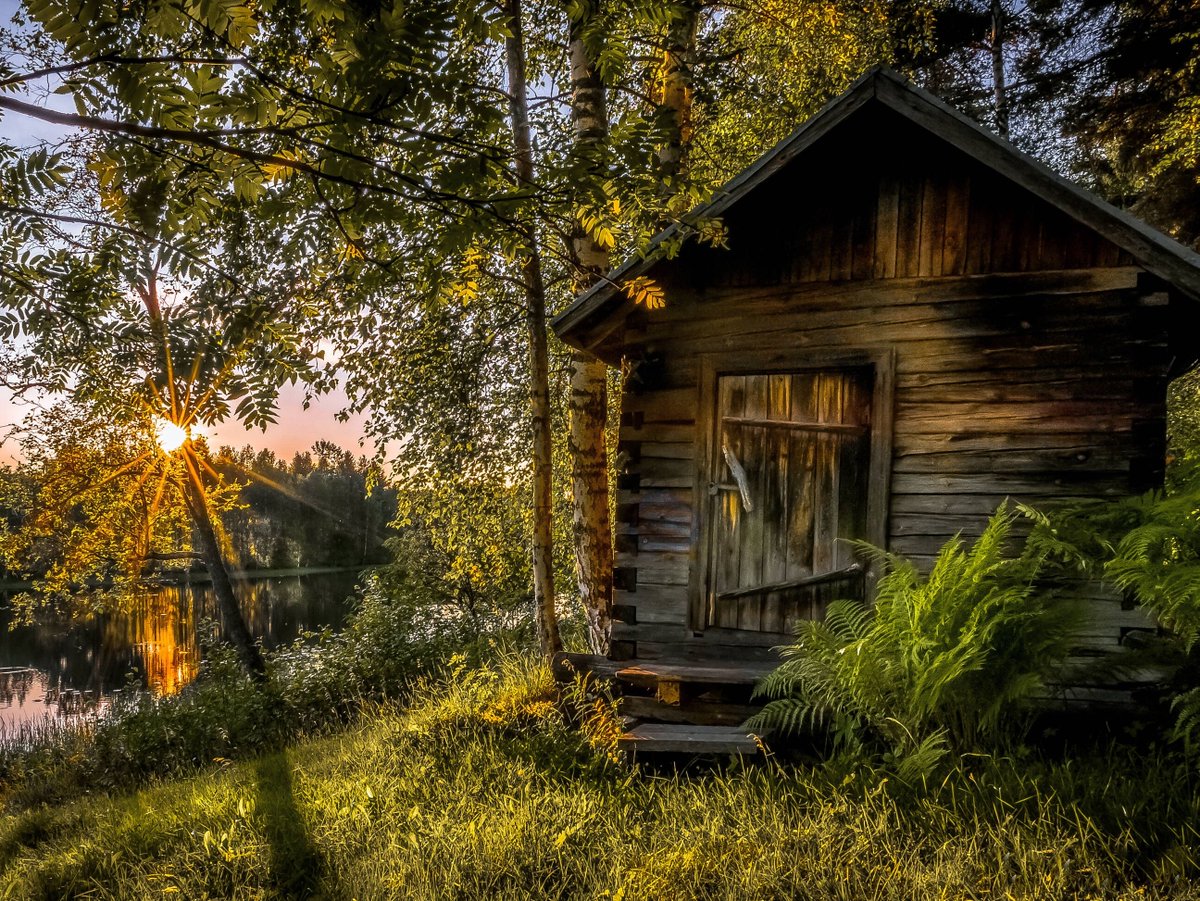 OurFinland's tweet image. Bathing in an old smoke sauna is an unforgettable experience, best enjoyed after leaving your hurries on the porch. It takes hours and skill to heat up a smoke sauna, so if you’re invited to one, it’s considered as an honour. 

Photo by Asko Kuittinen

#VisitFinland #OurFinland
