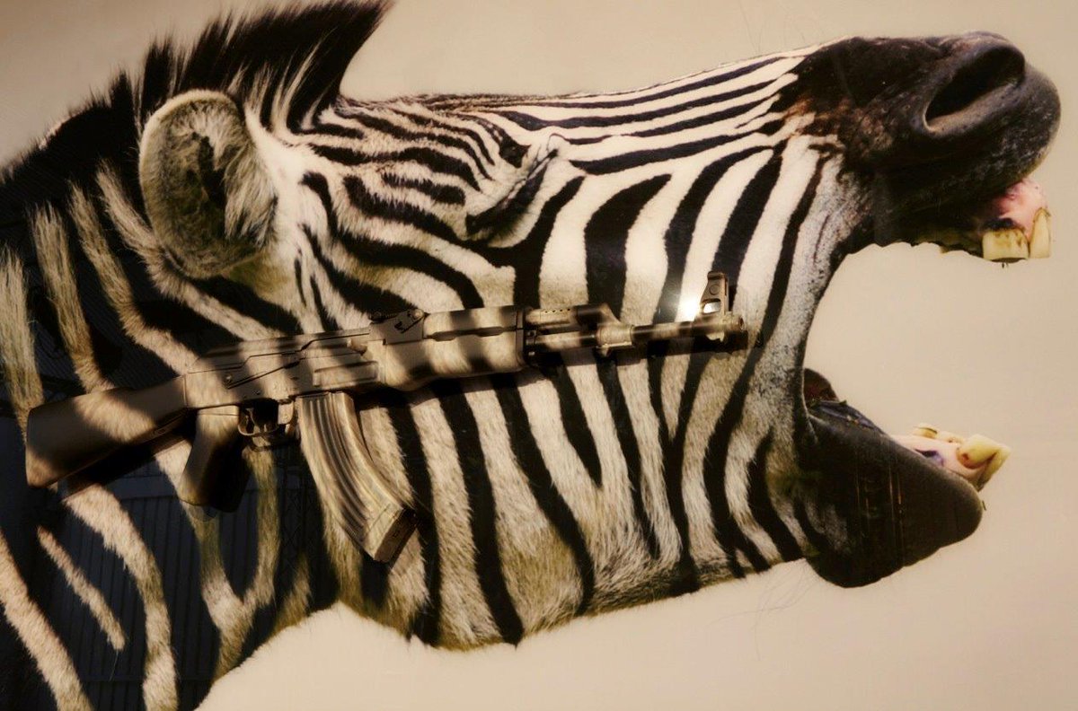 adlibgallery's tweet photo. 'Screaming Zebra' by @McCrowArt
Painted AK47 mounted onto large format Screaming
Zebra print
Removed from DRCongo, Decommissioned #AK47,
Unknown origin, 185cm x 125cm
#adlibgallery #mccrow #londonartist #wimbledon
#wimbledonvillage #sw19 #londongallery
#onelessgun https://t.co/vPmW7IL5AN