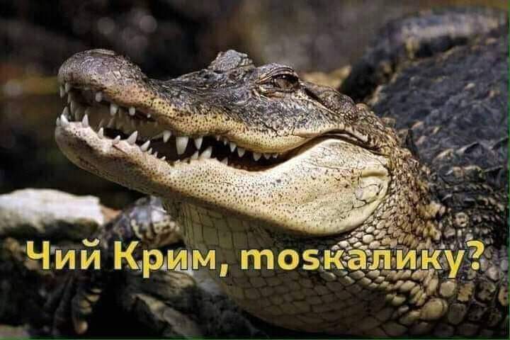Дедалі менше росіян вважають Путіна видатною особистістю, - опитування - Цензор.НЕТ 4705