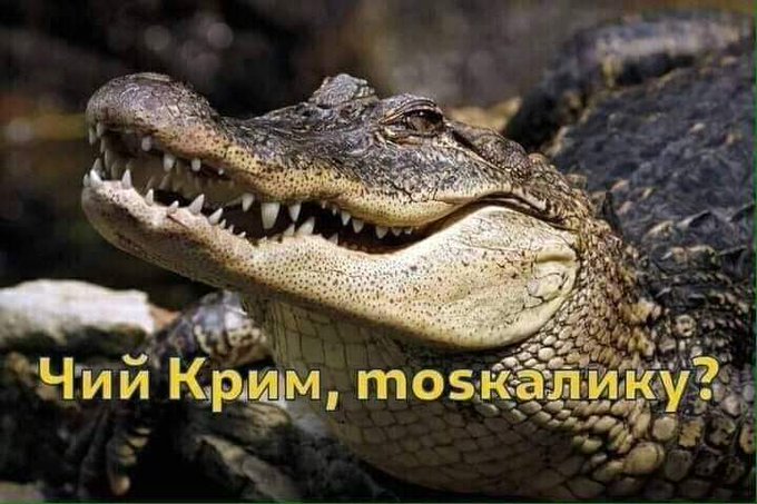 Шойгу наказав наростити угруповання російських військових в окупованому Криму - Цензор.НЕТ 7794