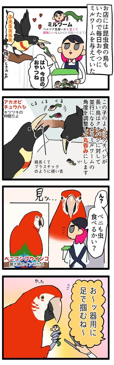えるぽ ぴ Lpo On さんの漫画 134作目 ツイコミ 仮