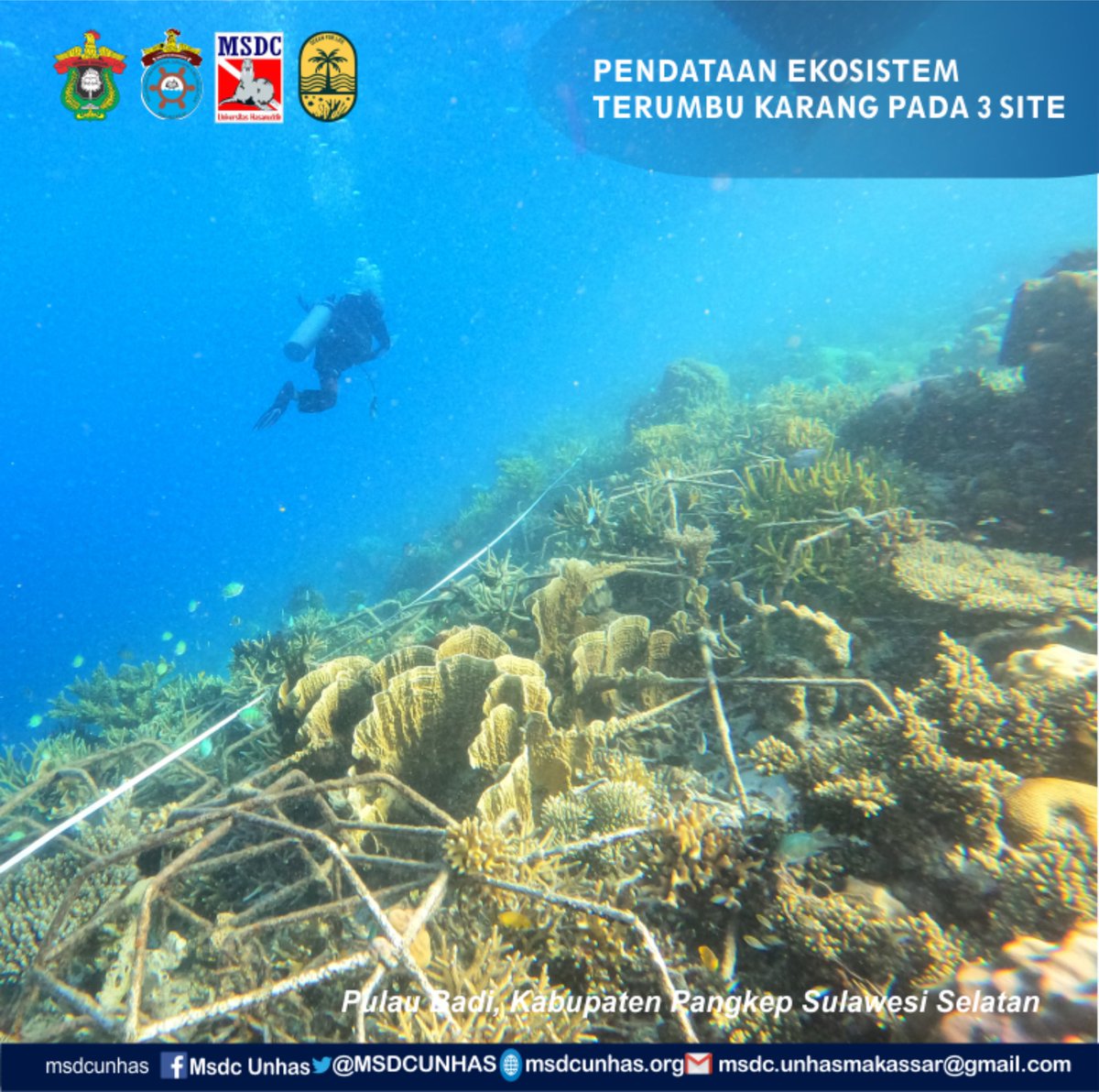 MSDCUNHAS's tweet image. [Dokumentasi Day 2]

Pada Hari Kamis 17 Juni 2021, Tim pendata OFL melakukan beberapa sesi pendataan yaitu pendataan Ekosistem Terumbu Karang, Ekosistem Lamun, dan pendataan Sosial &amp;amp; Ekonomi Masyarakat Pulau Badi
.
.

#oceanforlife 
#msdcunhas #neverdivealone 
#jalesvevajayamahe