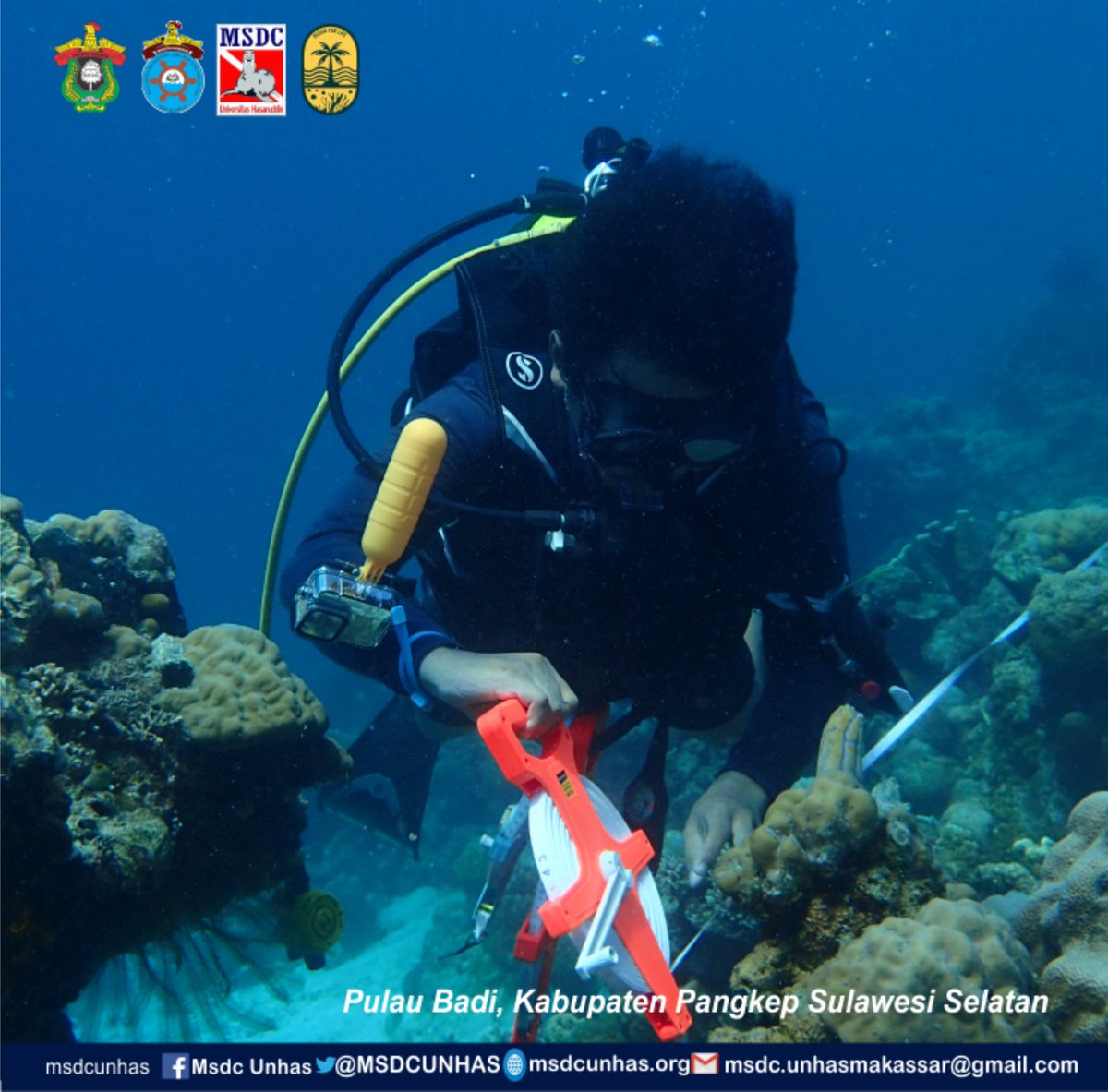 MSDCUNHAS's tweet image. [Dokumentasi Day 2]

Pada Hari Kamis 17 Juni 2021, Tim pendata OFL melakukan beberapa sesi pendataan yaitu pendataan Ekosistem Terumbu Karang, Ekosistem Lamun, dan pendataan Sosial &amp;amp; Ekonomi Masyarakat Pulau Badi
.
.

#oceanforlife 
#msdcunhas #neverdivealone 
#jalesvevajayamahe