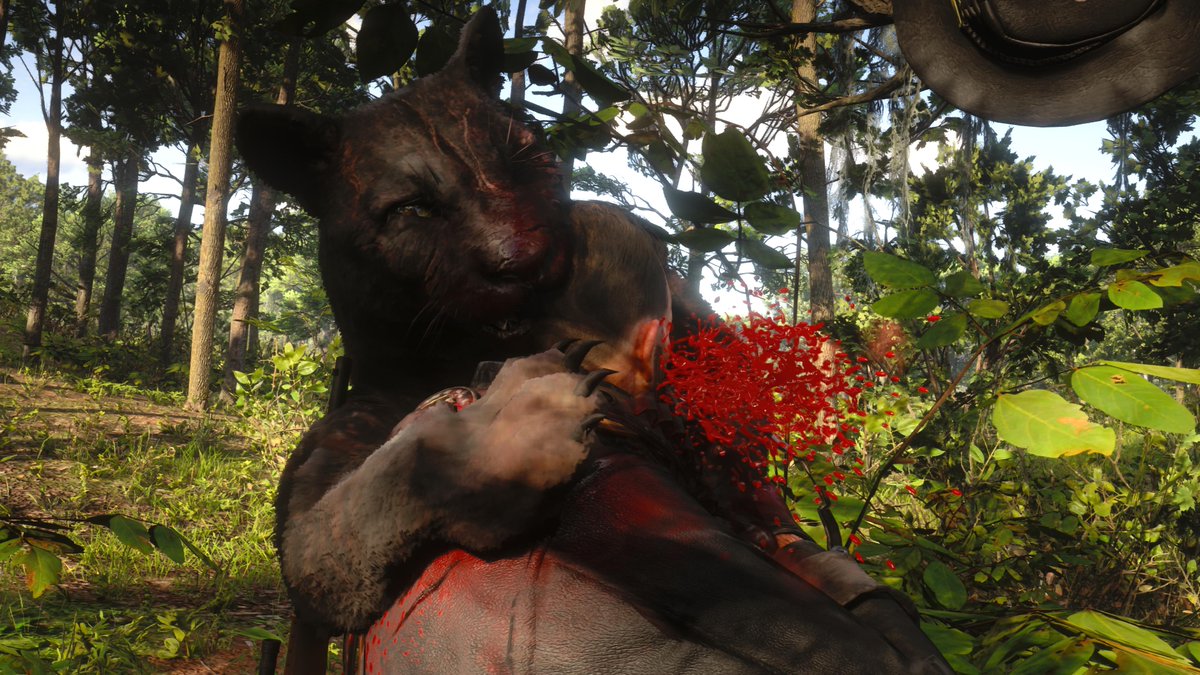 GoatKing22's tweet photo. Bad kitty! @RockstarGames @ARTSSnapmatic @LostSoulHunter_ @RedDeadSnaps @RedDeadVibes #RDR2 #RDRShots #RedDeadSociety #LSPhotoStudio #VIP #Legendary #Giaguaro #MeanKitty #PS5Share #RedDeadRedemption2 https://t.co/i3il1h4w2d