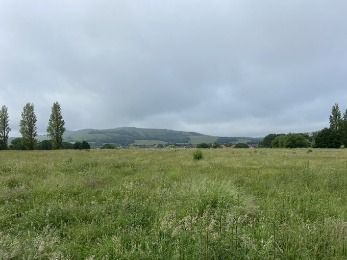 Soggy early morning dog walk today. Come back sun!!!! https://t.co/4GR8PcDpB6<a href="/tag/femdom"class="tags"><span>#femdom</span></a><a href="/tag/mistress"class="tags"><span>#mistress</span></a><a href="/tag/findom"class="tags"><span>#findom</span></a><a href="/tag/spoilme"class="tags"><span>#spoilme</span></a>