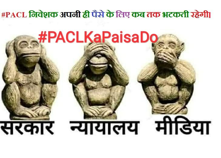 #PACLKaPaisaDo #PACLKaPaisaDo 
सरकार गरीब किसान, अन्नदाता को परेशान मत करो छोटे-छोटे रकम जमा करके अपने बच्चों का पेट काटकर जमा की गई रकम तुरंत वापस करो वरना दुनिया में अन्य के लाले पड़ जाएंगे। <a href="/AISO_INDIA/">All Investors Safety Organisation</a> <a href="/CBYadav_/">C.B. Yadav</a> <a href="/PRYadav1979/">Prithvi Raj Yadav</a> <a href="/FinMinIndia/">Ministry of Finance</a> <a href="/PMOIndia/">PMO India</a> <a href="/ndtvindia/">NDTV India</a> <a href="/aajtak/">AajTak</a> <a href="/AmitShah/">Amit Shah</a>