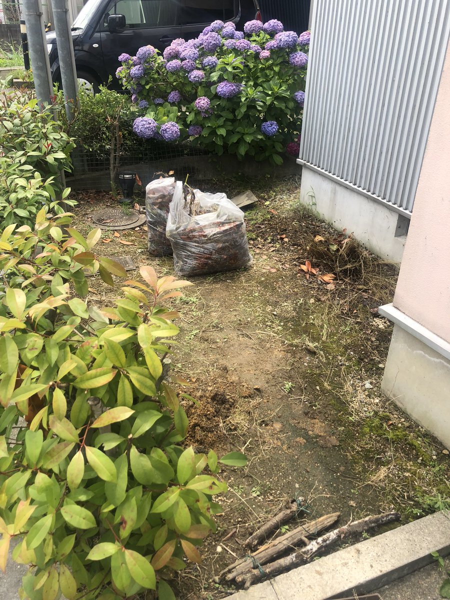 yakibuta0804's tweet photo. before after素人にしては頑張った方やろ！！ https://t.co/fR2MiuCy3n