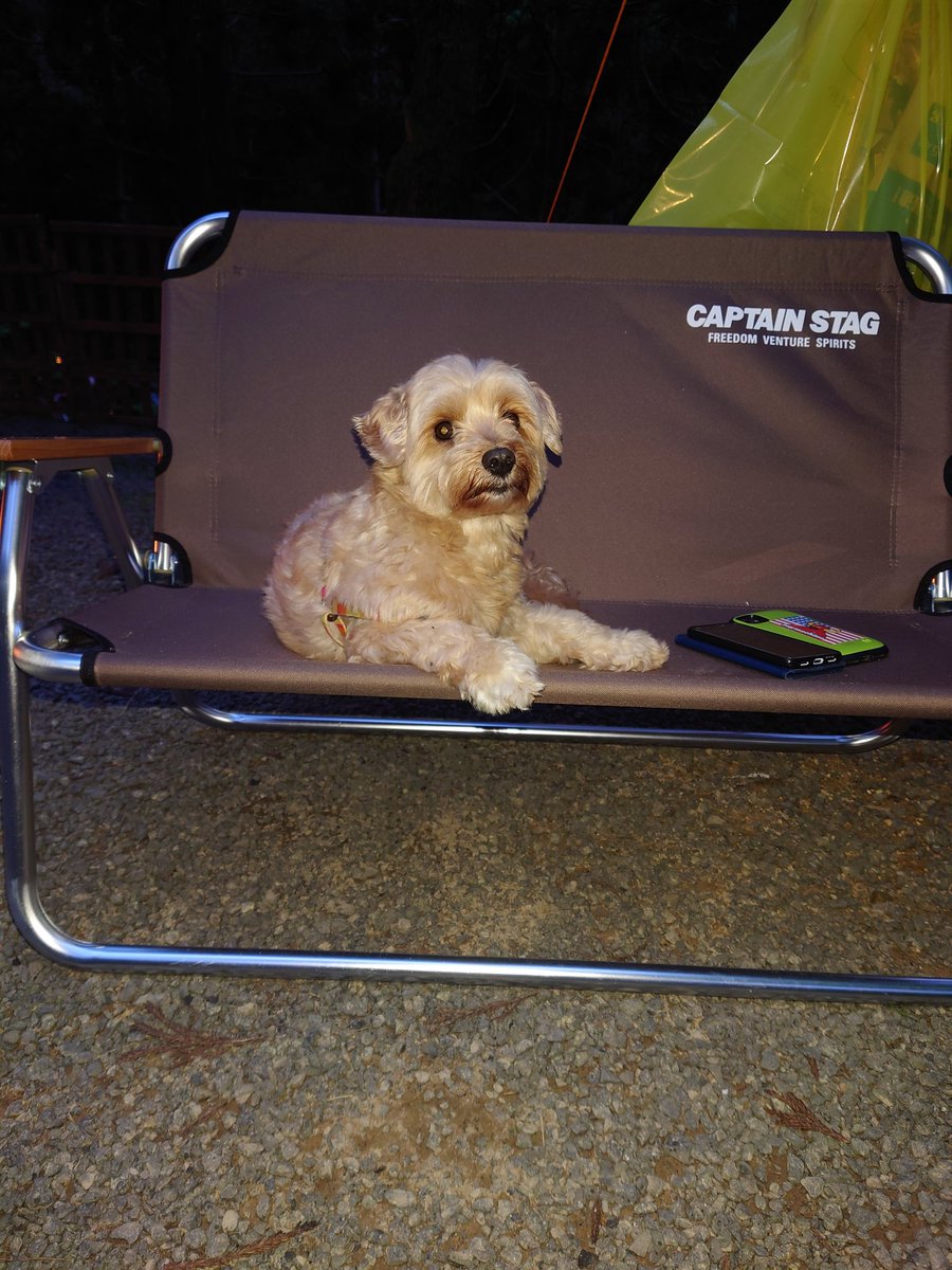 Nao明野高原キャンプ場ワンコパラダイス