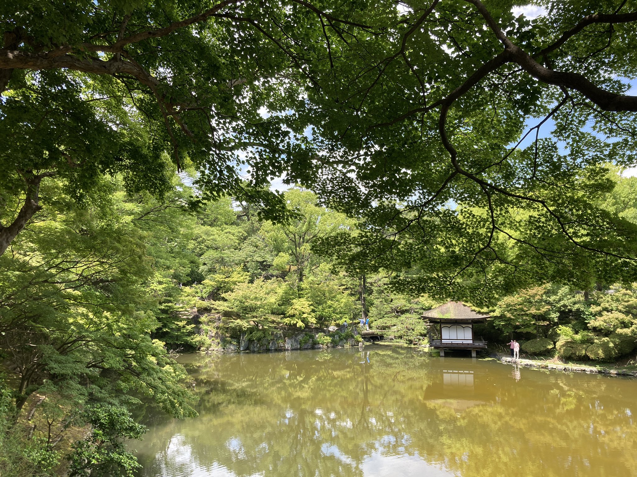 万谷絵美 和歌山 広報ライター 梅雨の晴れ間の和歌山城 綺麗でした 鶴の渓には紫陽花の小道が きれいに咲いていてホッコリ 和歌山城 ちかばめぐり ご近所観光 T Co Jj33e5fckg Twitter