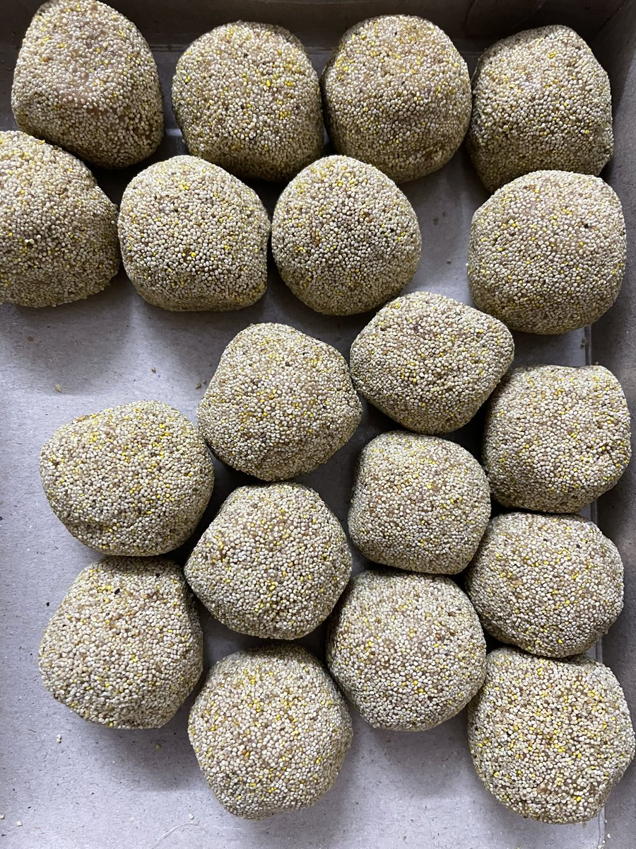 sanjayjavin's tweet photo. #raskadum,#roshkodom  otherwise a bengali sweet,very popular in erstwhile bengal,including bangladesh,is a chenna rosogullah covered in khoya and poppy seeds.this one from dalsingsarai,samastipur is very famous and sought after in bihar. https://t.co/Tu5BtCbteh