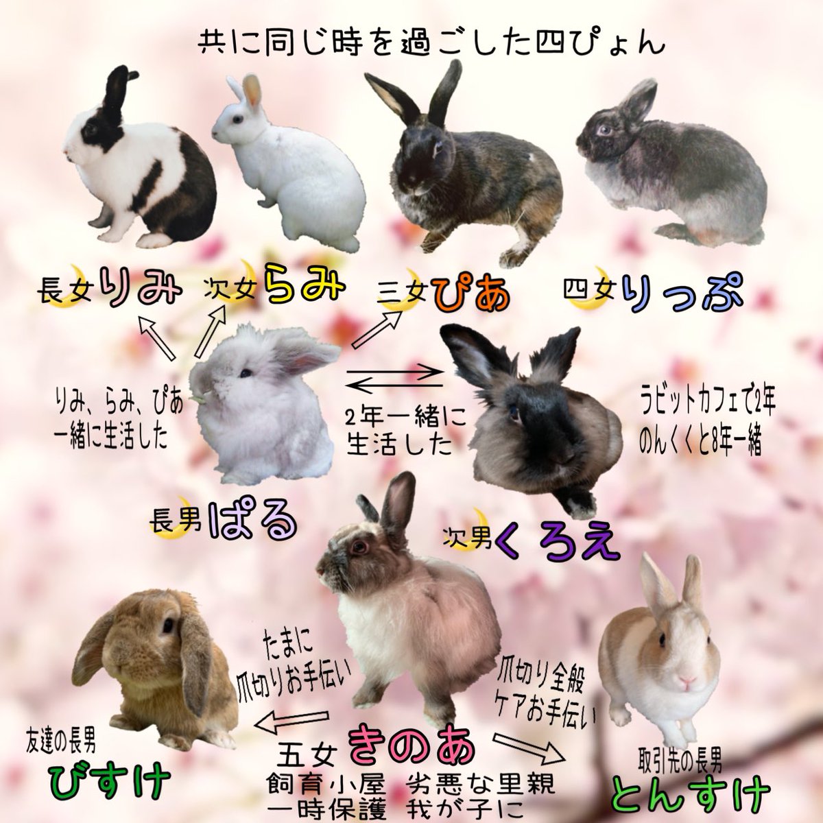 ç¹äŸ¡åå ð©âðаã®ãããð©âðаðãã®ãð on X: ã¬ãããã¿