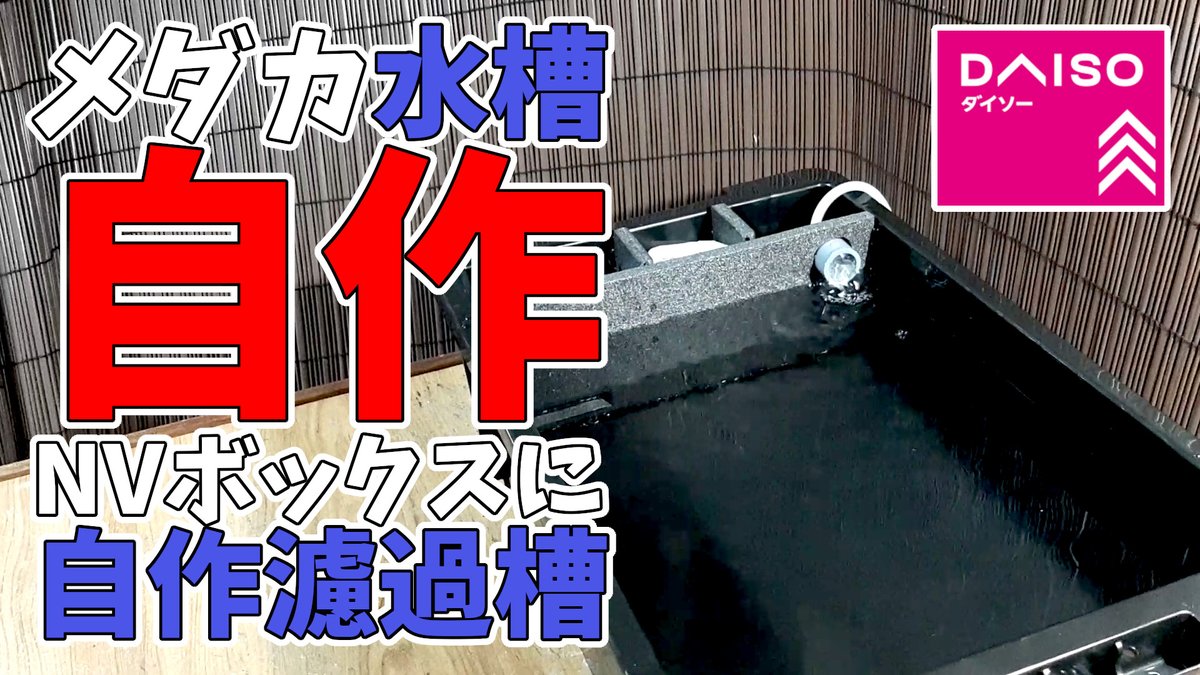 花桃めだか ちよ太郎 Aqualife Medaka Twitter