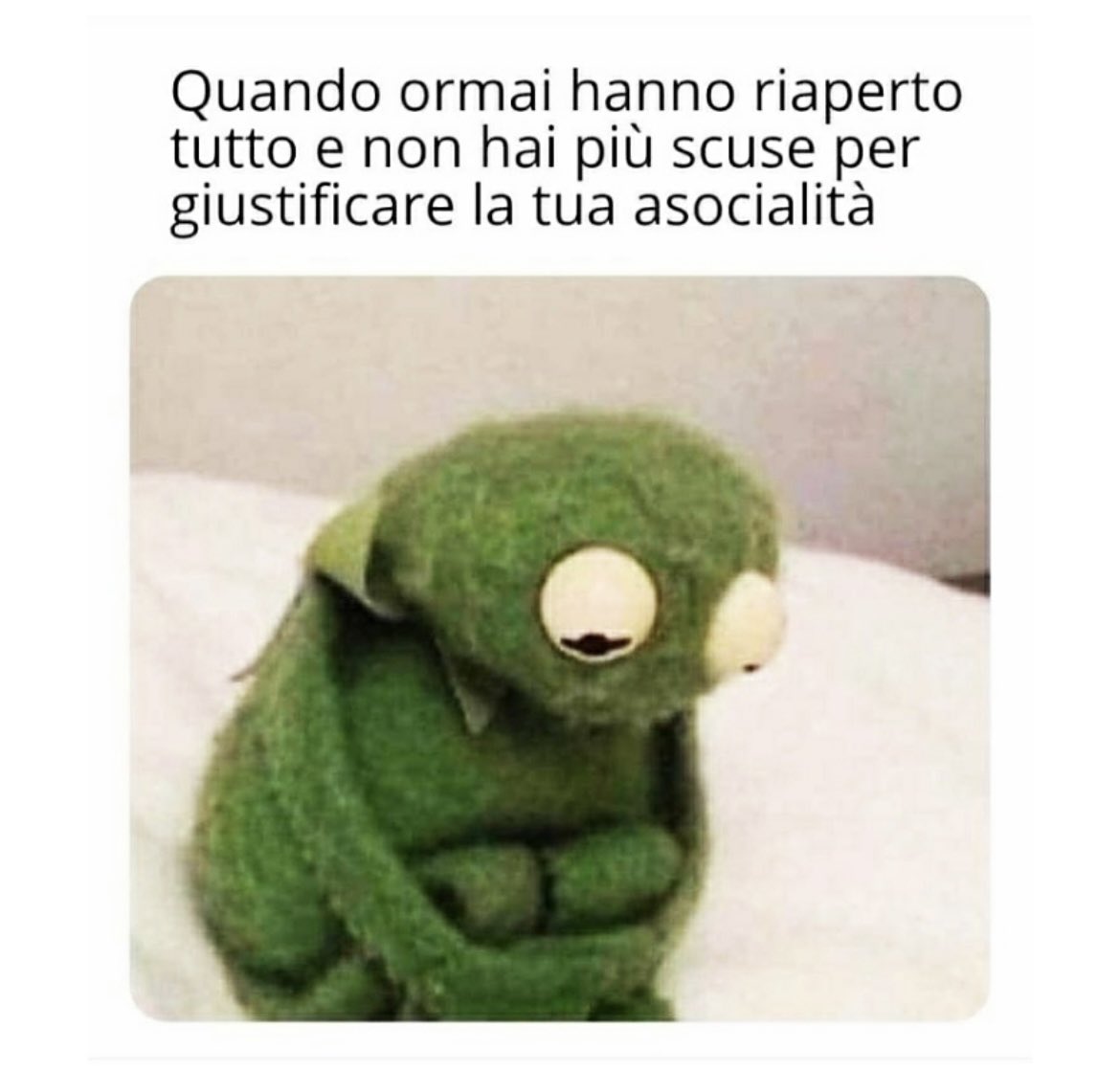 Carolina Crescentini tweet media