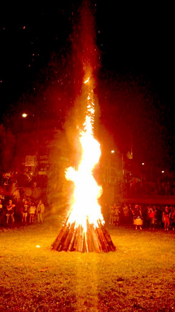 🎗 Associació cultural de fallaires de Sort tweet media