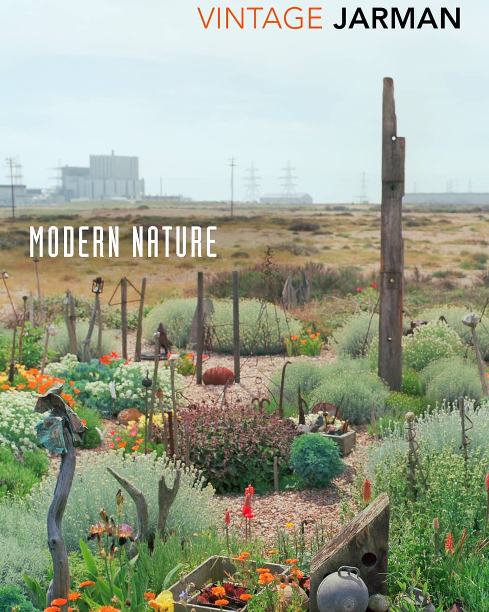 PerenoRobert's tweet photo. 📖 My current #bedsidebook : Is not just the #diaryofagarden but a #meditation on  #alifewelllived 🎭 #modernnature is as #lifeaffirming as the #perennialplants pushing through the #nuclear #shingle on #derekjarman's #bleak #beautifulbeach #garden he named #prospectcottage 🏠 https://t.co/38ZbluRgZo