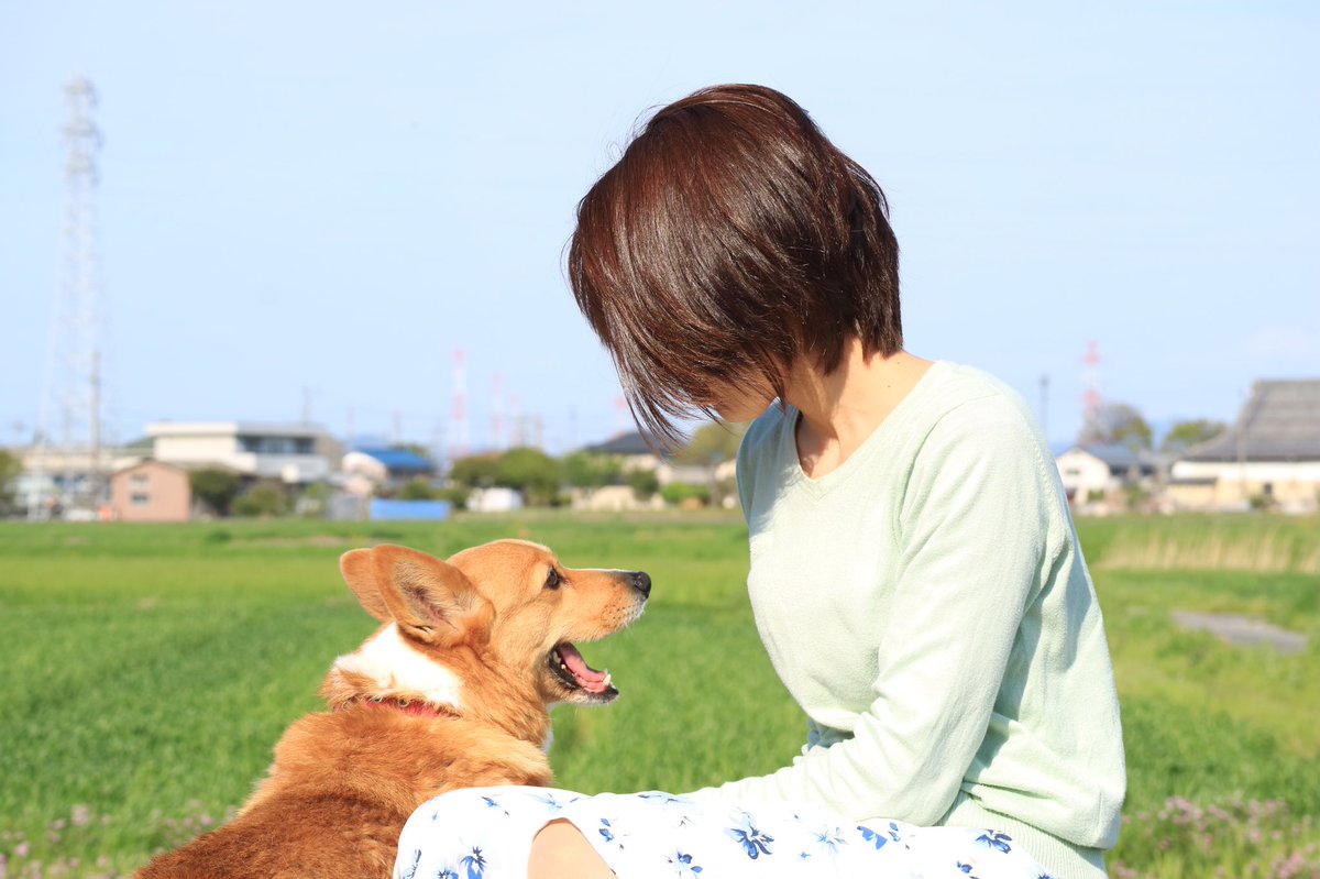 みみさん tweet media