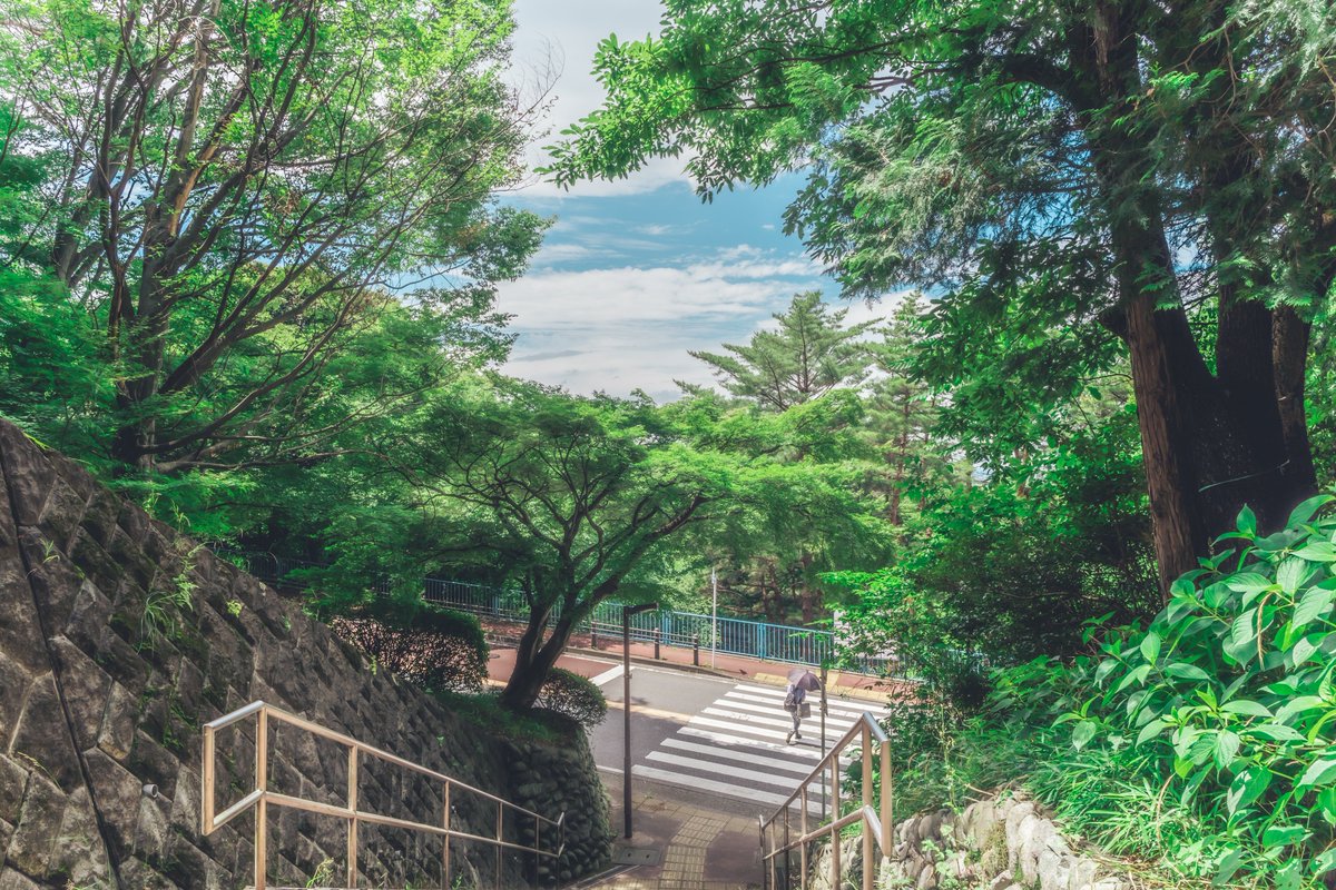 hiroko_o_photo's tweet photo. ジブリの世界に行ってきました☺︎ https://t.co/2OjzAhoGza