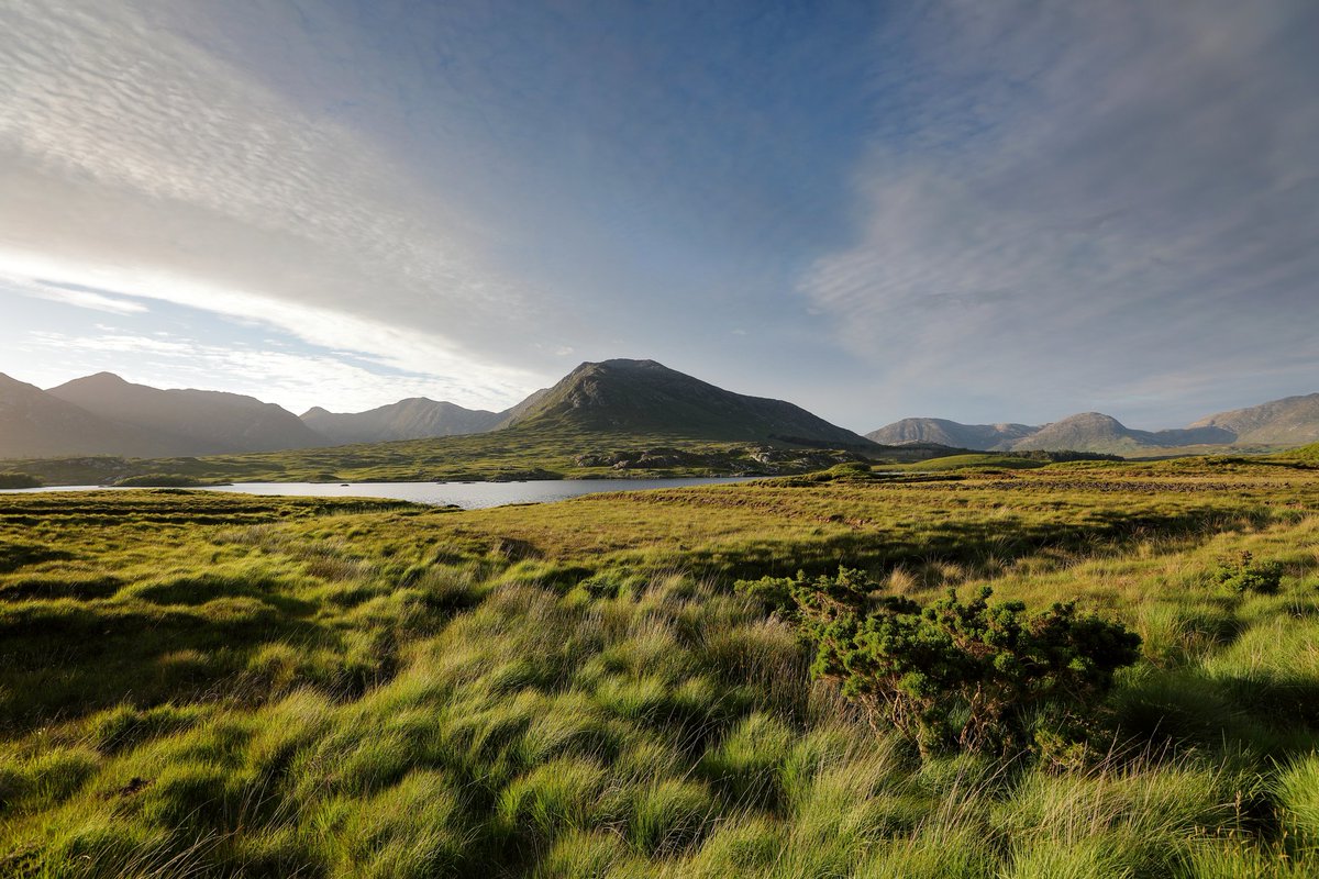 ZhangChaosheng's tweet photo. Fresh air in Connemara https://t.co/Gfm2UlcMXv