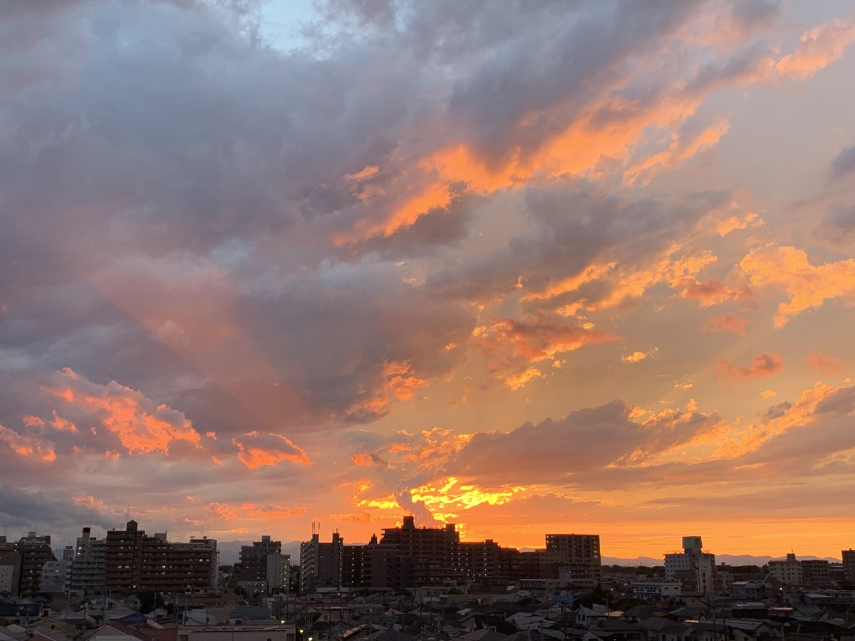 Sunset over Koganei right now