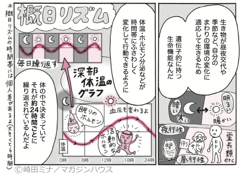 (💤3/6)睡眠改善するマンガ
●体内時計編1
「体内時計よく分かんない」
「体内時計、やんごとなき事情でそろえられないよー」
決まった時間に
寝起きできる人も、できない人でも🆗👍な
「寝入りをよくする」メカニズムとは
#体メンテ #睡眠改善