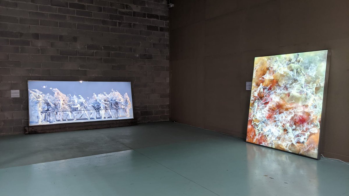 fi_lor's tweet photo. What a night! It was a pleasure to open PULSE - Electric Mannerism, a show of @WeAreHaar @handesekerciler @ArdaYalkin by @MOCDA_ at @ArtGad, Venice. Curated by @BraidottiChiara &amp; me, the show explores the relationship between craftsmanship and art.

More: https://t.co/rJAtNePJCk https://t.co/Qhdp2sChPW