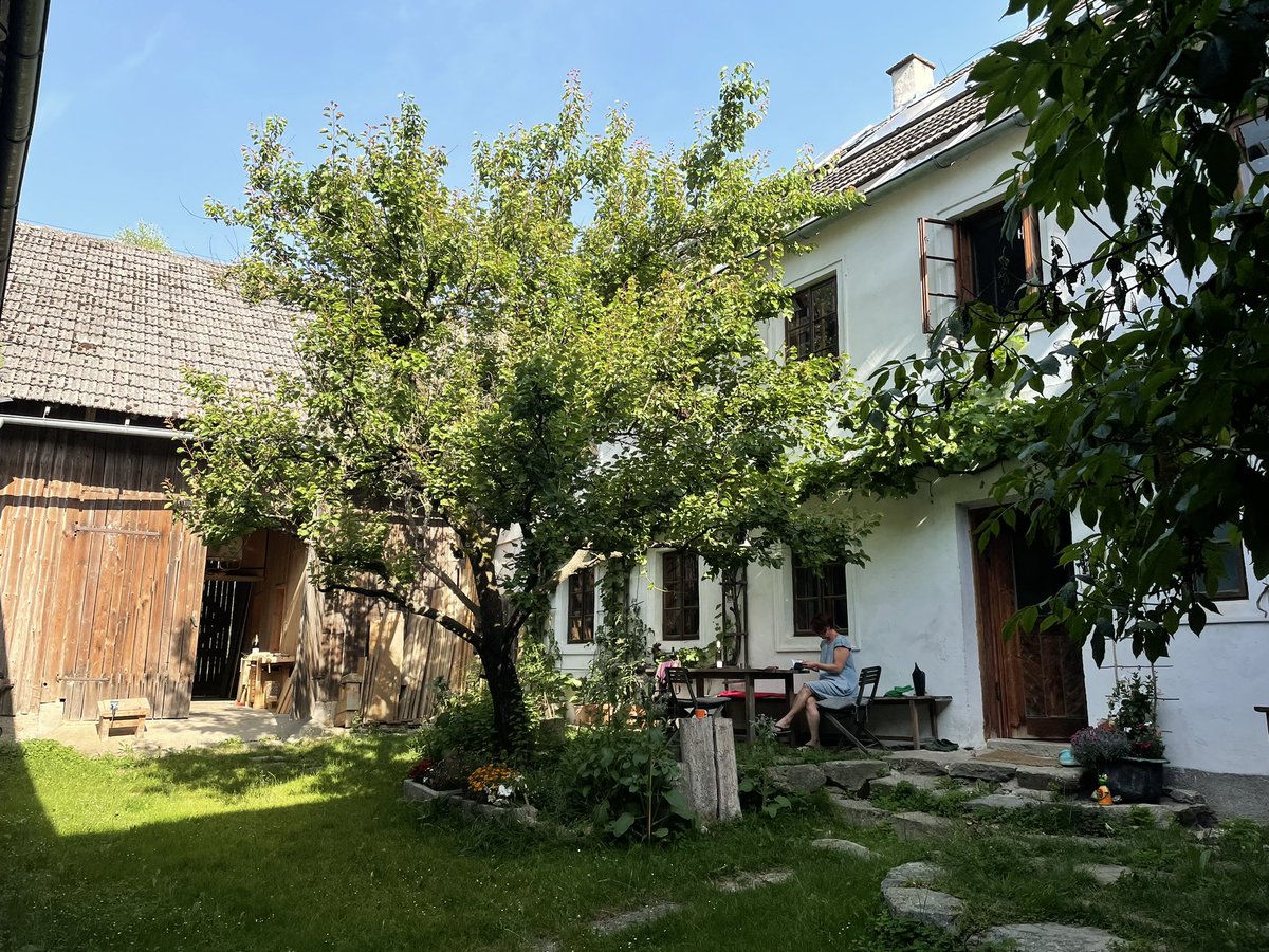 exiledsurfer's tweet photo. After three weeks in vienna w/ 18 hour days for the @SovrynBTC mega product sprint & #Sovrython launh, returned to the homestead in full summer. Some impressions... https://t.co/fa9IbuUluD