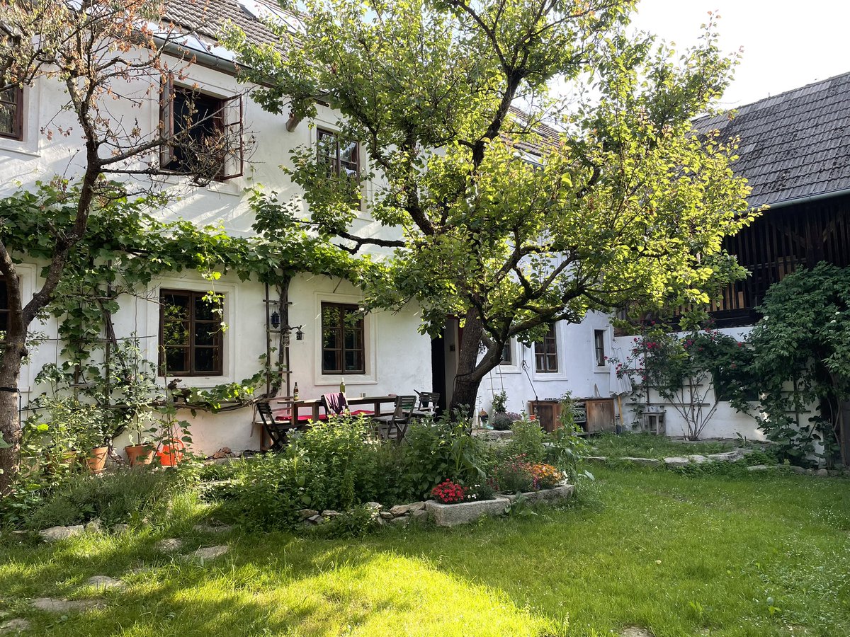 exiledsurfer's tweet photo. After three weeks in vienna w/ 18 hour days for the @SovrynBTC mega product sprint & #Sovrython launh, returned to the homestead in full summer. Some impressions... https://t.co/fa9IbuUluD