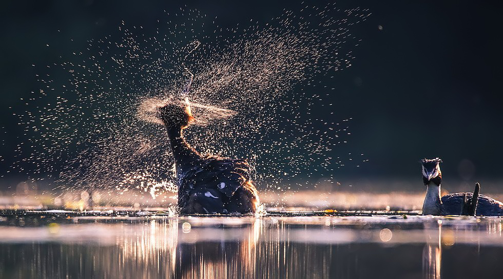 Photographer (@photo5065) on Twitter photo 