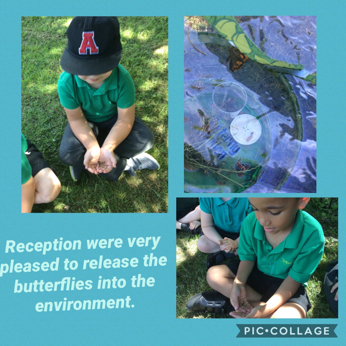 TimbertreeEYFS tweet media